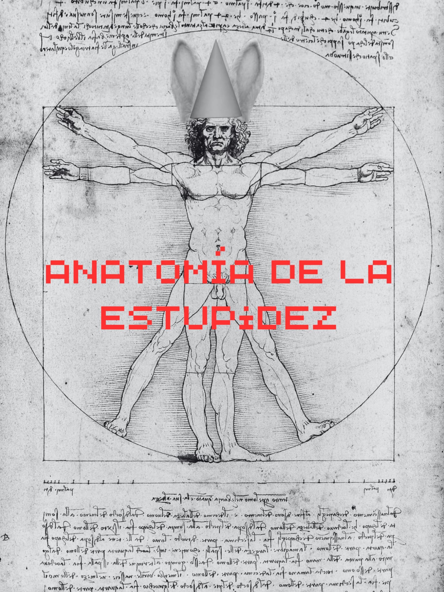 ANATOMÍA DE LA ESTUPIDEZ - La Rambleta